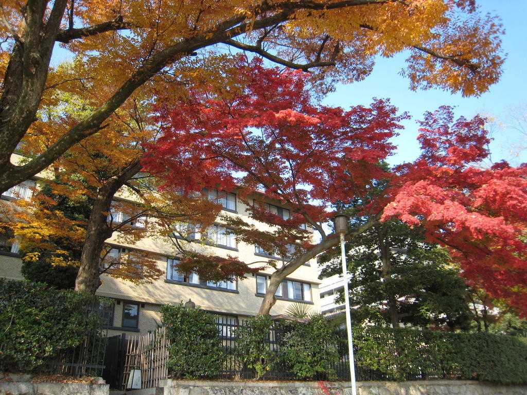 Kkr Kyoto Kuniso Hotel Екстериор снимка